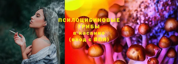 таблы Армянск
