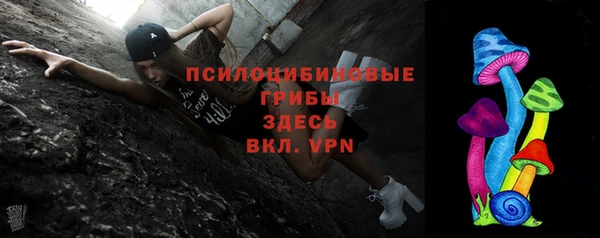 твердый Арсеньев