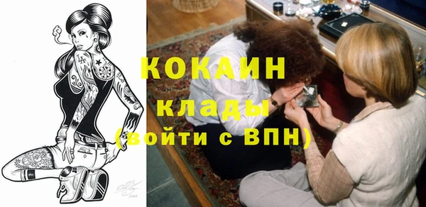 твердый Арсеньев
