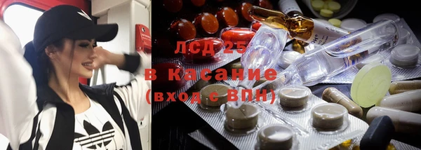 твердый Арсеньев