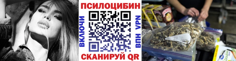 купить   Валдай  Галлюциногенные грибы Cubensis 